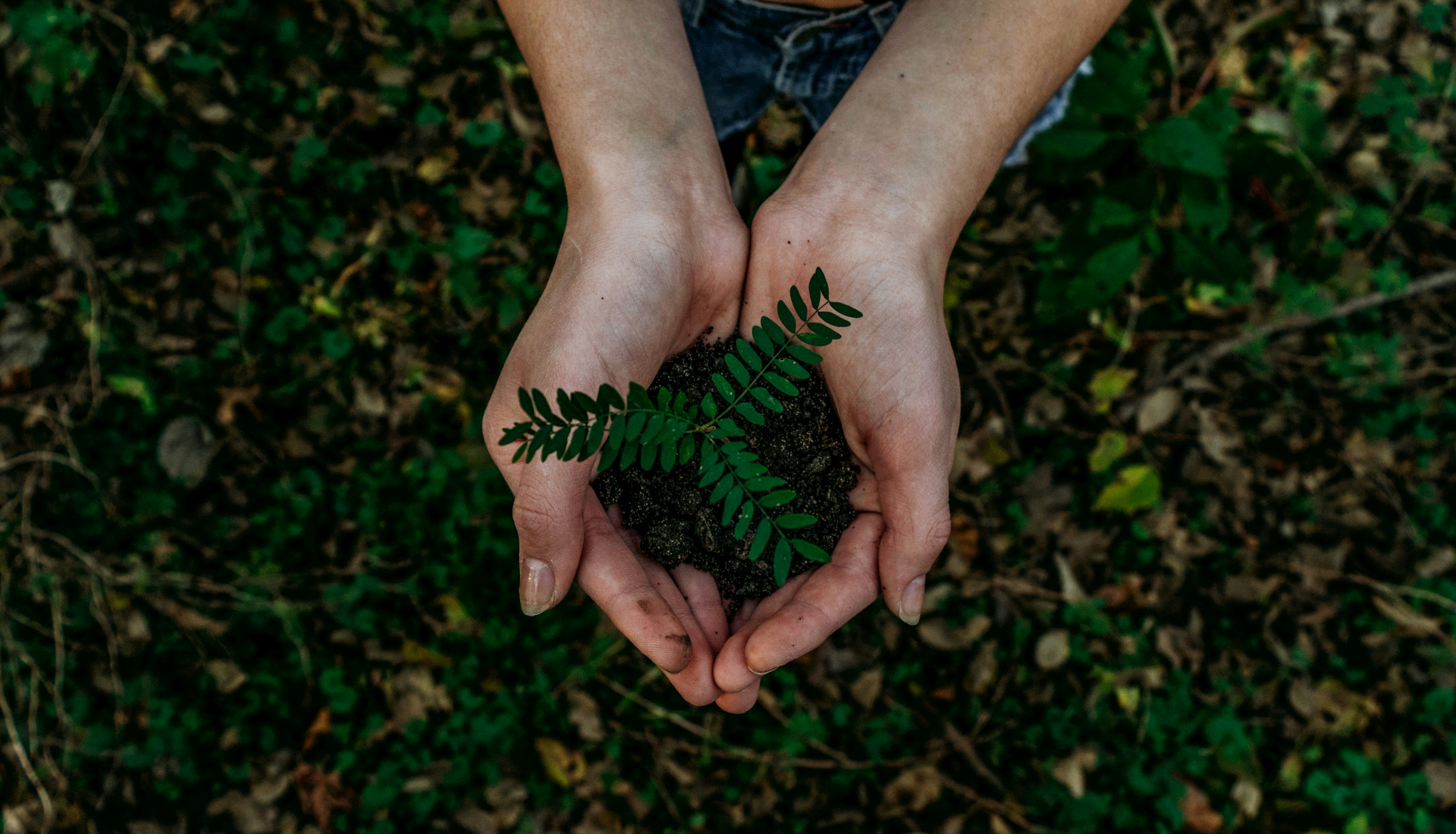 Handcrafted eco-friendly bags